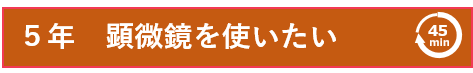 顕微鏡を使いたい